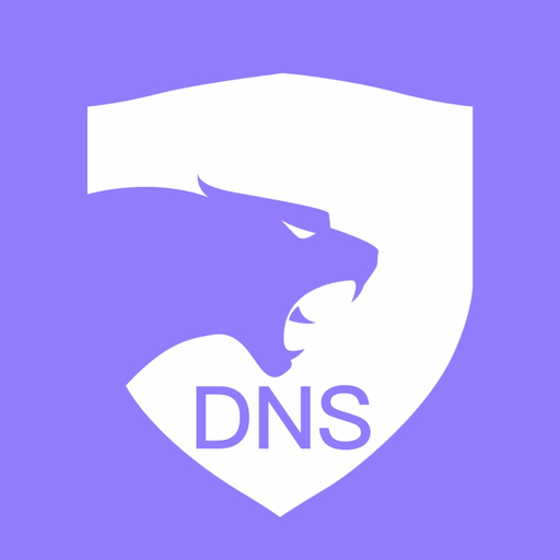 ChetahDNS app icon