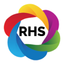 Rainbow High School icon