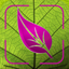 Plant Disease Identifier Prime icon