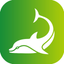 El Delfín Verde icon