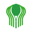 RAQUETA BOSQUES icon
