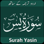 Surah Yasin in Urdu icon