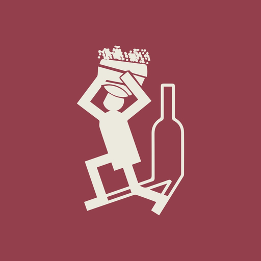 FIVI app icon