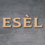 Esèl icon