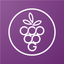 Grape.ag icon