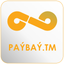 PayBay-пополнение моб.телефона icon