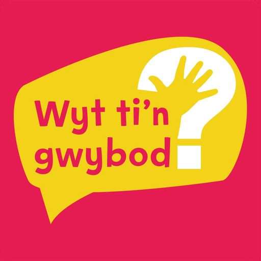 Wyt ti'n gwybod app icon