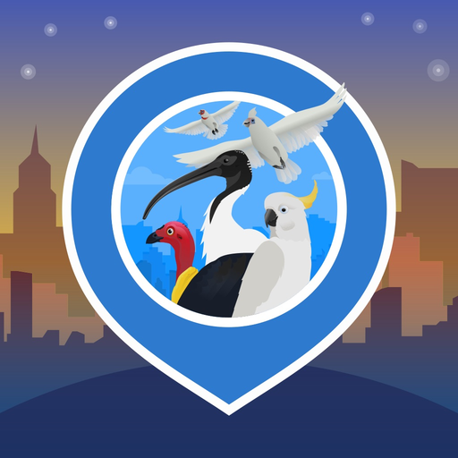 Big City Birds | SPOTTERON app icon
