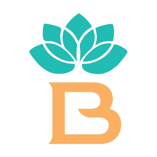 Baba's Mediterranean Grill app icon