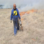 Prescribed Burn Entry Form icon