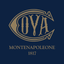 COVA HK icon