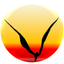 Venice 311 App icon