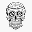 Detroit Taco Company icon