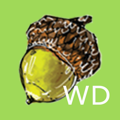 WORRY Deck app icon