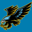 CJI Hawks icon