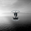 WORD OF THE TRUTH CM icon