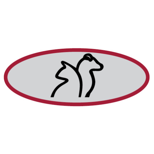 Buena Vet app icon