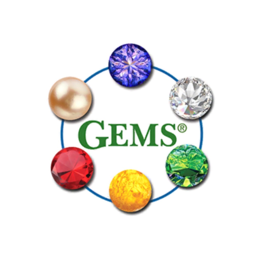 Dementia Stages Ability Model app icon