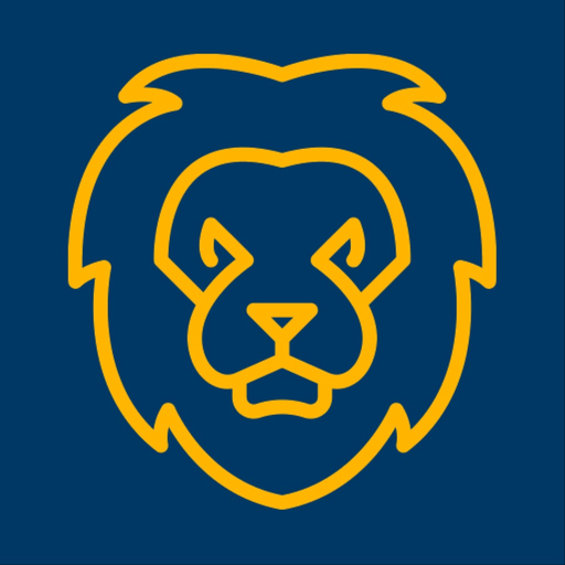 LiON Smart charger app icon