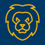 LiON Smart charger icon