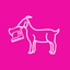 Goat Notions icon