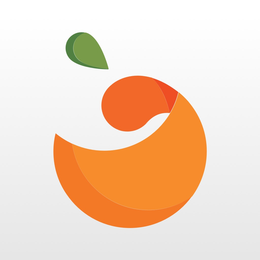 One Florida Mobile Banking app icon