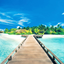 HD Background Wallpapers icon