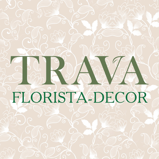 TRAVA | Улан-Удэ app icon