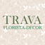 TRAVA | Улан-Удэ icon