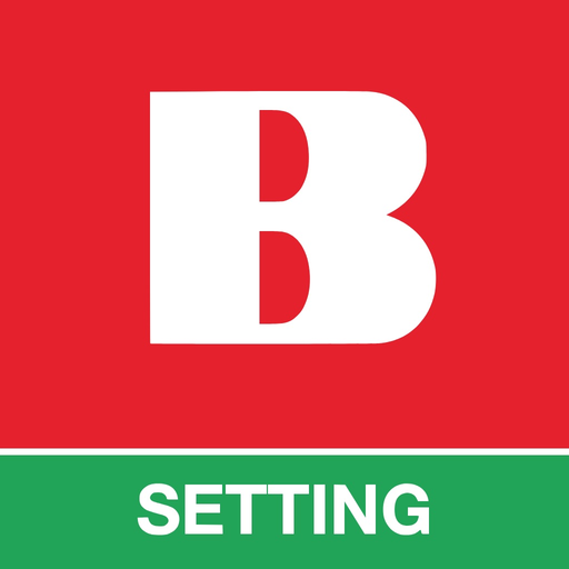 BERGMANN Setting app icon
