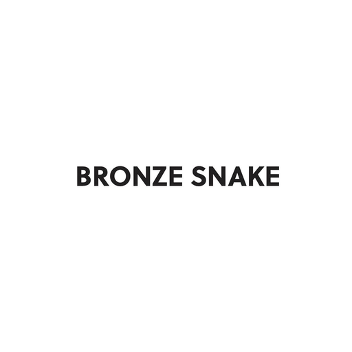 BRONZE SNAKE app icon