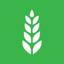 Arokiya icon