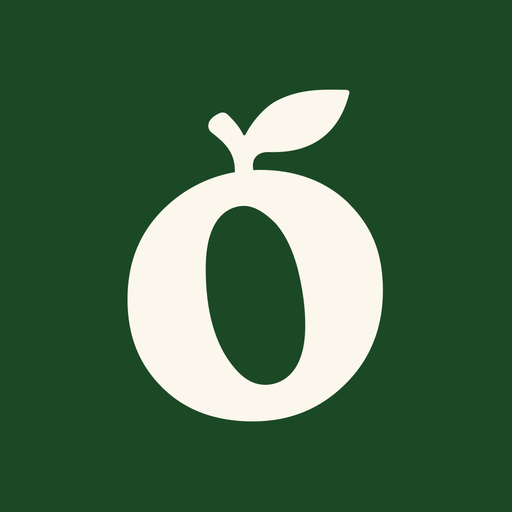 Nettó app icon