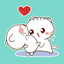Softy Cat icon