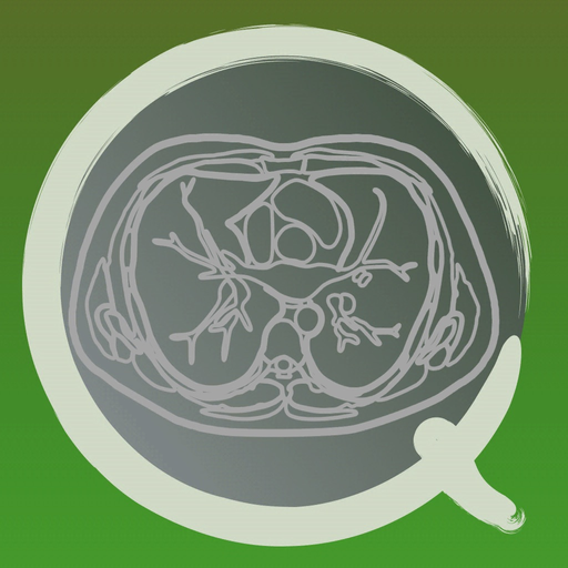 CT PassQuiz Chest / MRI app icon