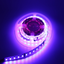 MyDailyMagic icon