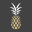 Heyday Properties icon