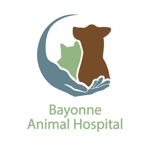 Bayonne Animal Hospital app icon