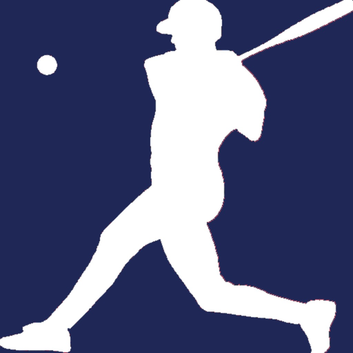 New York Baseball Yankees app icon