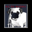 KCTK Radio icon