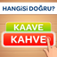 Kelime Gezmece 2: Kelime Oyunu icon