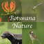 Botswana Wildlife Guide icon