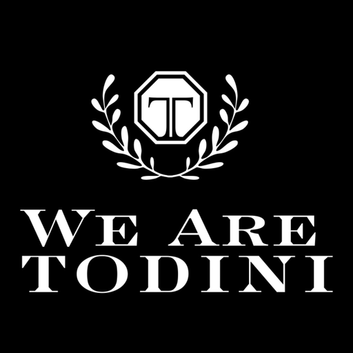 We Are Todini app icon