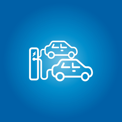 LIS kompakt app icon