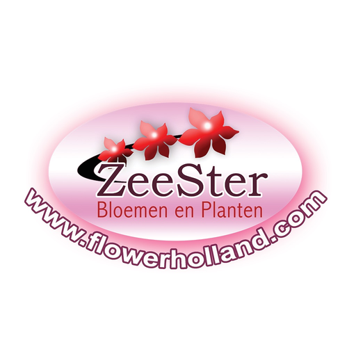 FlowerHolland app icon
