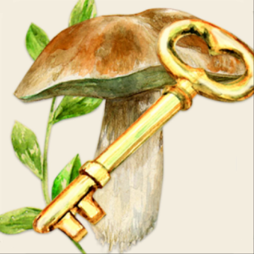 Mushrooms app app icon