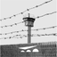 Grenzland icon