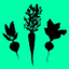 VegOrganics icon