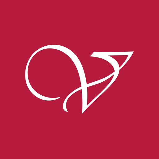 Vital Schneeberg app icon