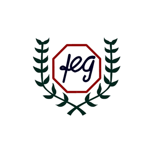 FEG app icon